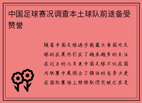 中国足球赛况调查本土球队前途备受赞誉