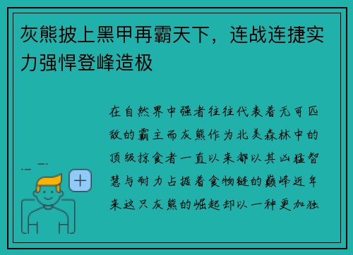 灰熊披上黑甲再霸天下,连战连捷实力强悍登峰造极