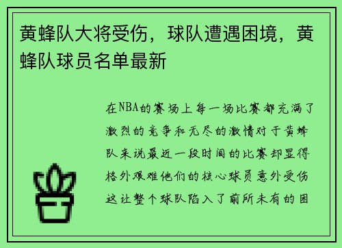 黄蜂队大将受伤,球队遭遇困境,黄蜂队球员名单最新